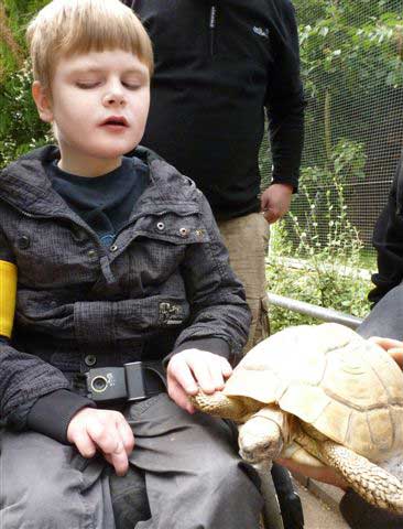 Alexander greift nach dem Bein der Schildkröte