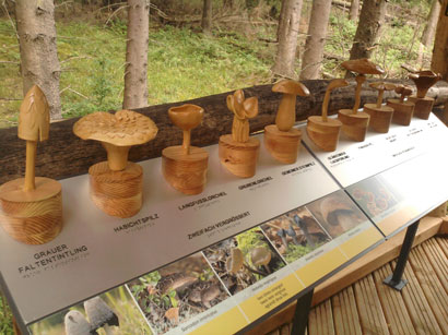 Modell von Waldpilze aus Holz