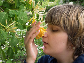Michelle erforscht die Blumen im Alnwick-Garden und riecht an einer Blume