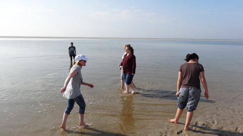 Einige Schülerinnen und Schüler nutzen das schöne Wetter und gehen ohne Schuhe im Meer spazieren