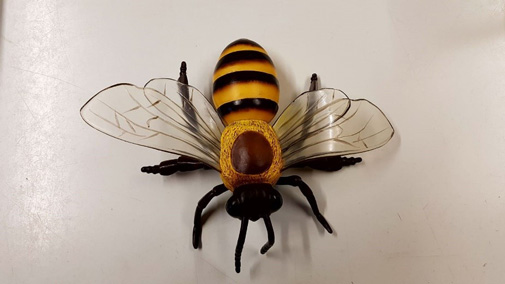 Das Modell einer Biene