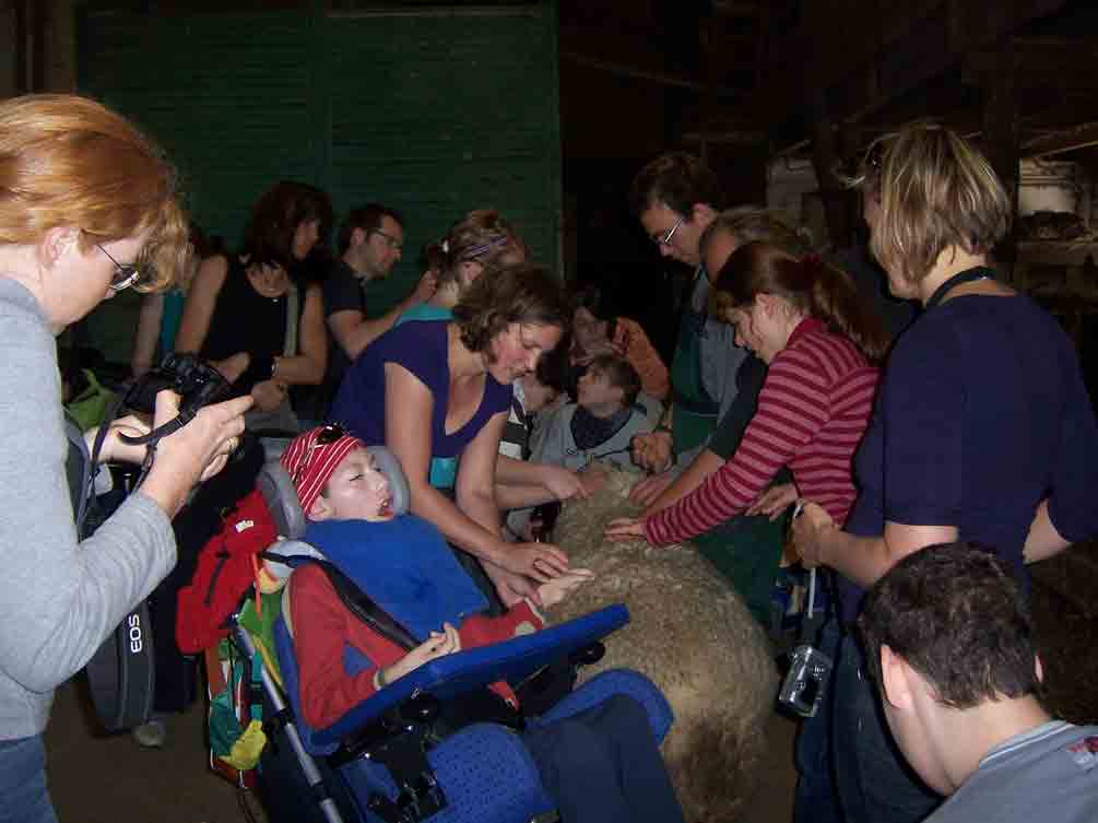 Mehrere Schüler streicheln ein Schaf, das sich dieses gefallen lässt.