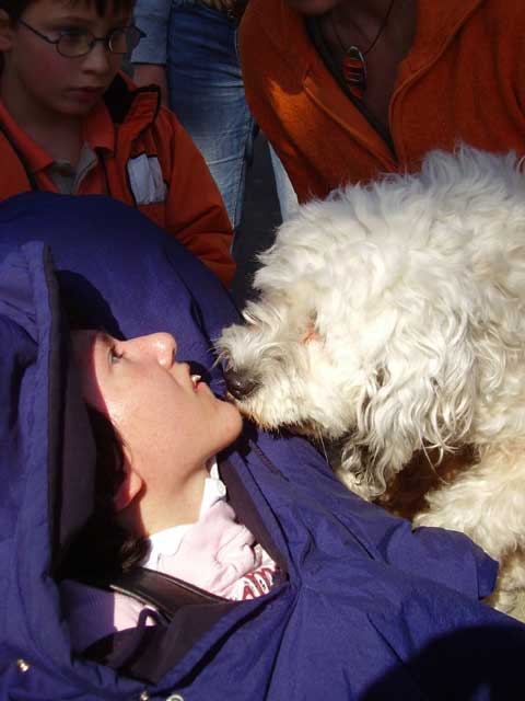 Verena in egstem Kontakt mit Tibet-Terrier Nicki.